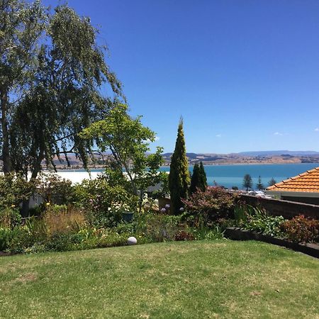 Jacaranda Lodge - Napier Hill Holiday Home Eksteriør bilde